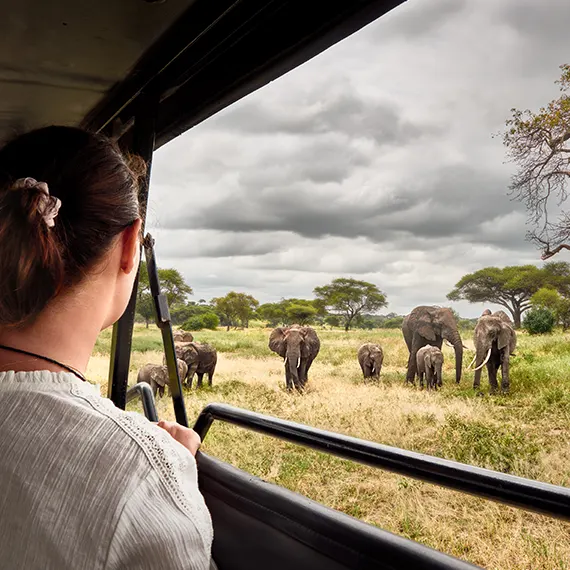 Une aventure exceptionnelle au cœur de l'Afrique