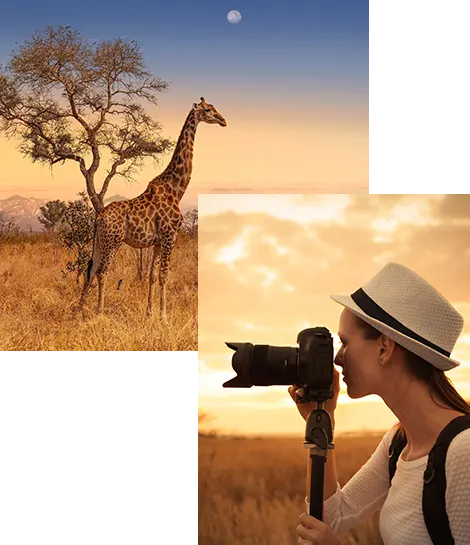 Voyage en Afrique et Circuits Safari 100% sur-mesure